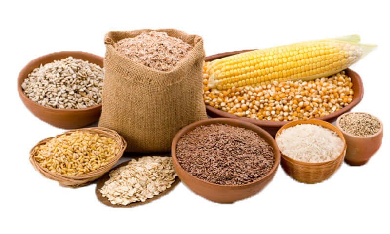 Export of Cereals